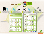 Fiche Oiseaux des jardins {PNG}