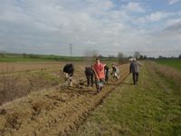 Un bon outil de formation : chantier de plantation avec les étudiants du lycée horticole de La Cadène.