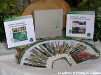 coffret Pays'arbre