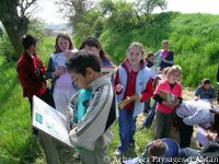 Sortie sur le sentier de Montlaur avec l'école d'Ayguesvives