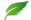 CORMP Puce feuille verte