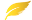 CORMP Puce feuille jaune