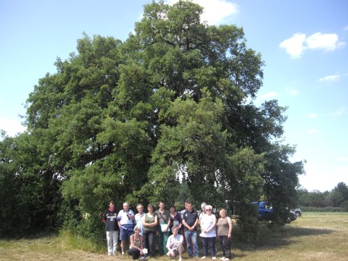 Les membres de la commission lors de la journée du 22 juin 2012